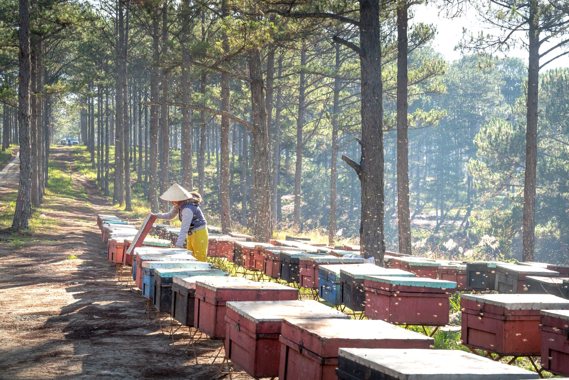 a beekeeper securing a dark hive wrap around a wooden beehive in a snowy yard