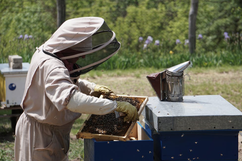 Best Beekeeping Suits 2026: Top Picks for Beginners and Experienced Beekeepers