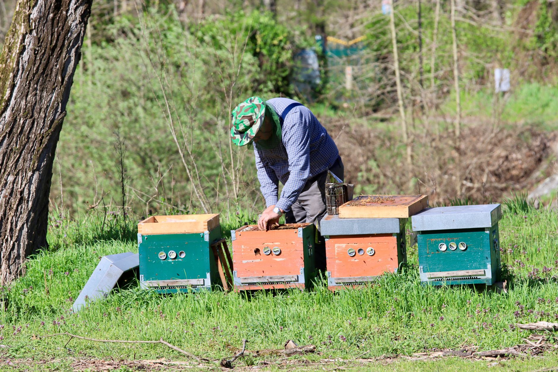 a beekeeper turning the honey tap on a Flow Hive super in bright sunlight